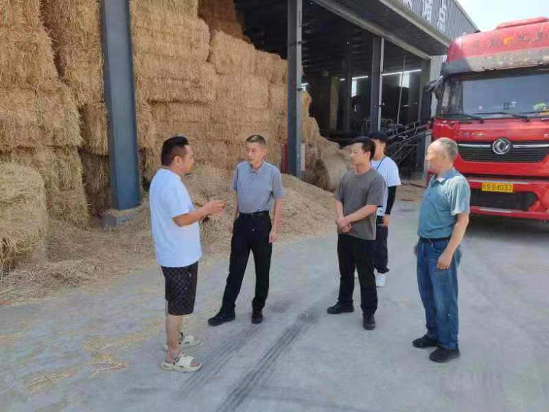 濉溪县生态环境分局党组书记,局长朱光玉带队对铁佛镇石羊桥段水质