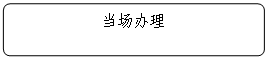 流程图: 可选过程: 当场办理