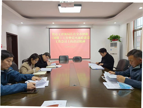 濉溪县财政局传达贯彻全市财政(国资)工作暨党风廉政建设会议精神_濉溪县人民政府信息公开网