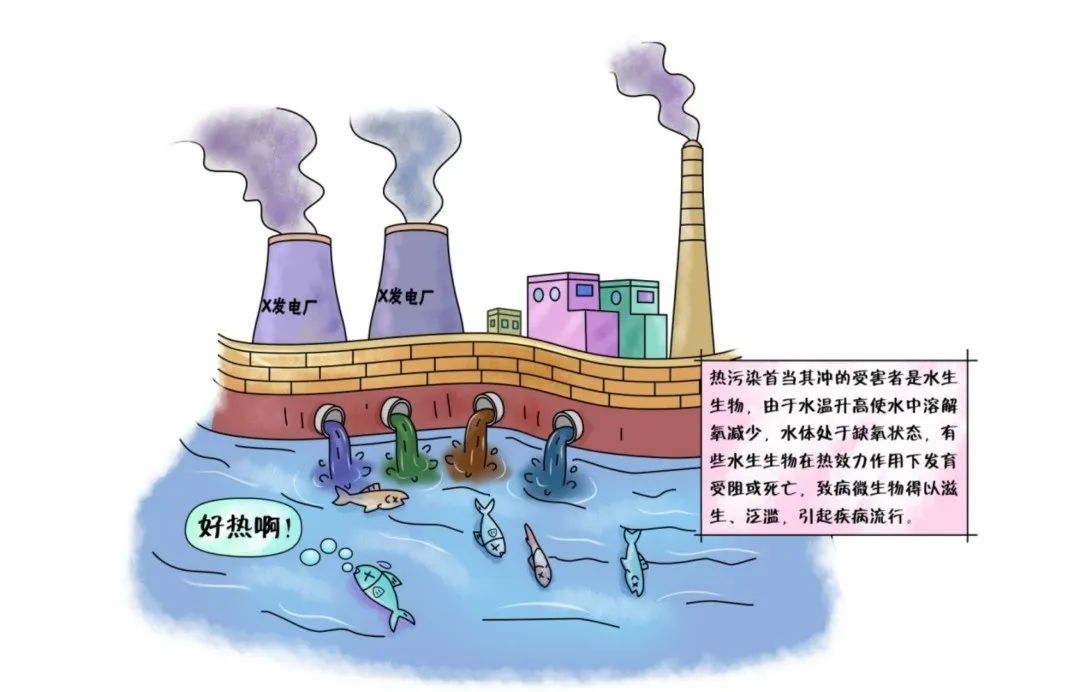 【主动回应】环保科普|这些水环境、水污染的知识点，你要知道_濉溪县人民政府信息公开网