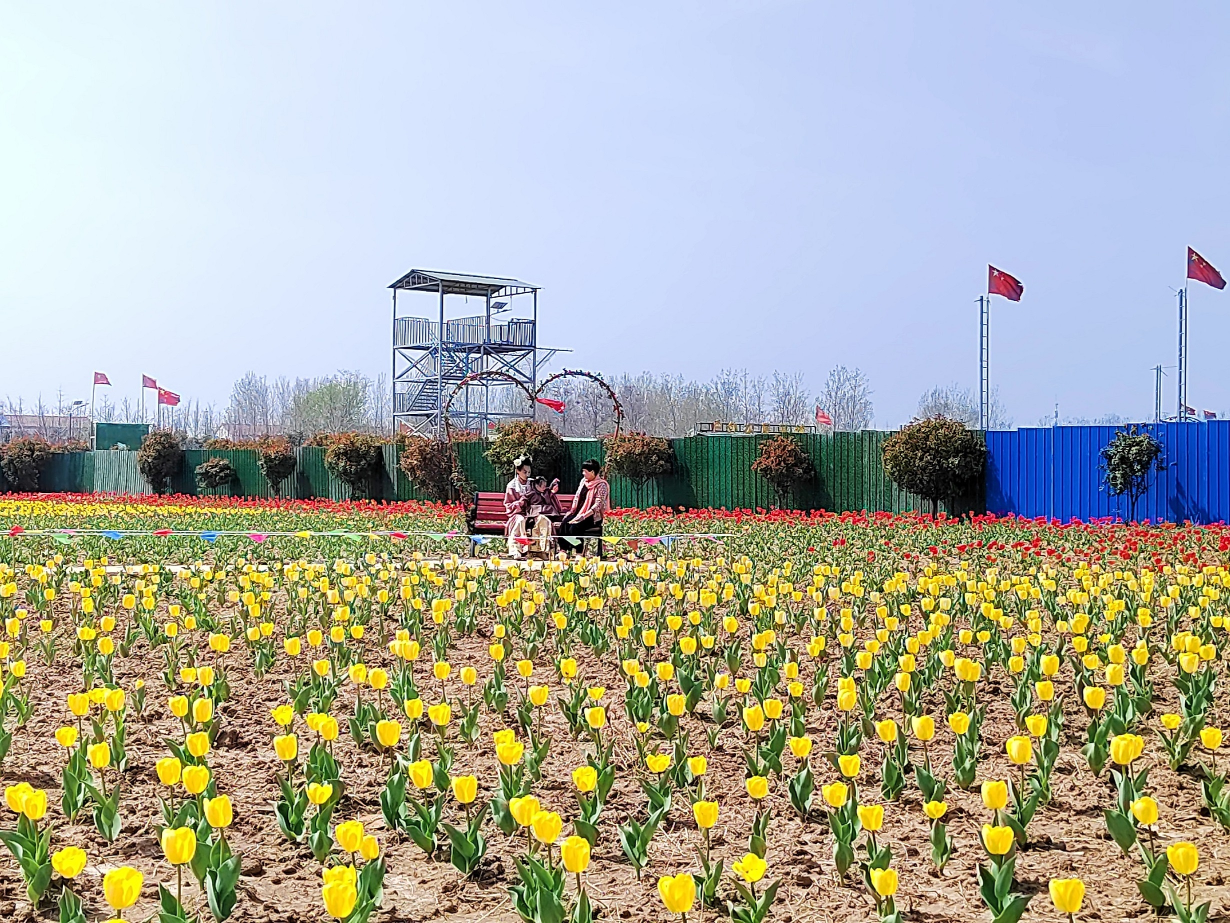 淮北濉溪百善镇最美人间四月天莫负春日好时光