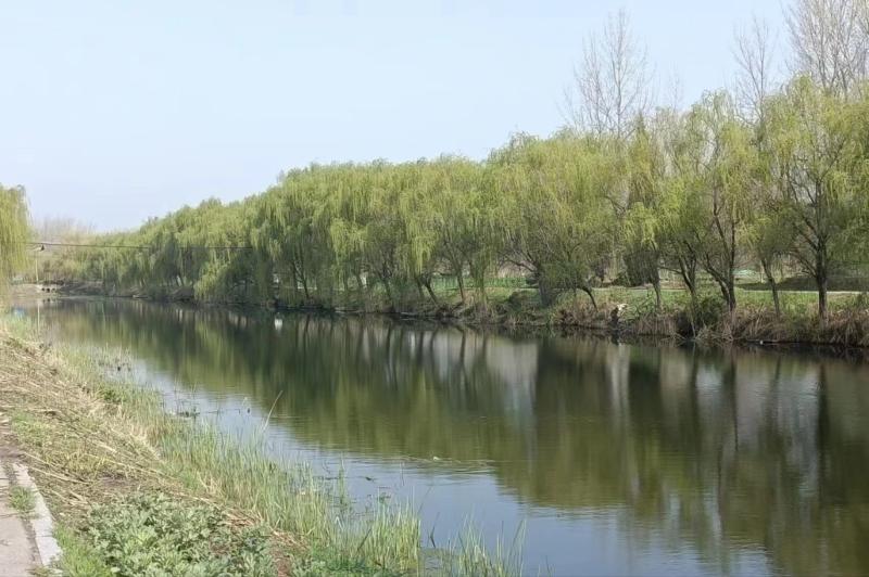 隋堤景区