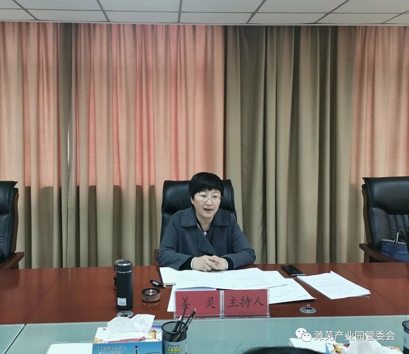 姜灵参加濉芜产业园党工委2020年度民主生活会暨中央