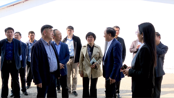 会前,汪国忠一行在王莉等陪同下,前往淮北新兴皇苑新能源科技有限公司